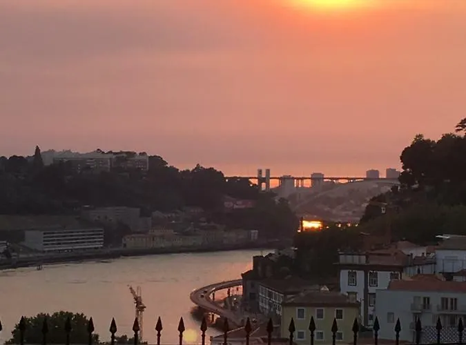 Virtudes Patio דירה